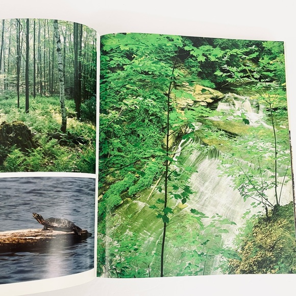 America The Beautiful Hardback Book Brompton with over 400 Color Illustrations - Picture 10 of 13